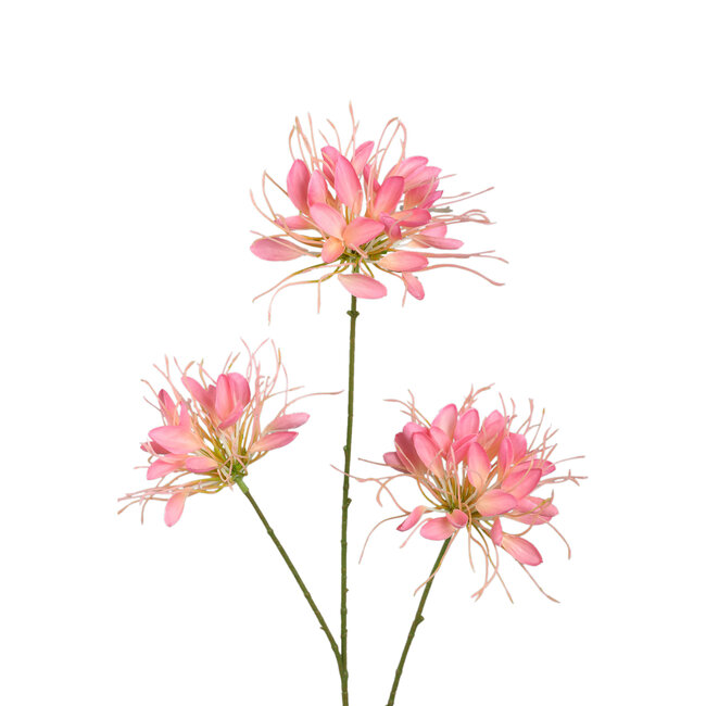 PTMD Kunsttak Pink Spider