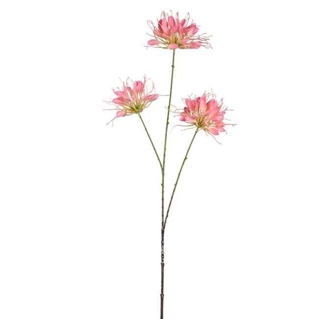 PTMD Kunsttak Pink Spider