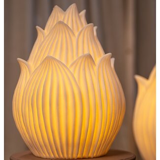 PTMD Aveda Wit Lotus hoog LED-lamp oplaadbaar