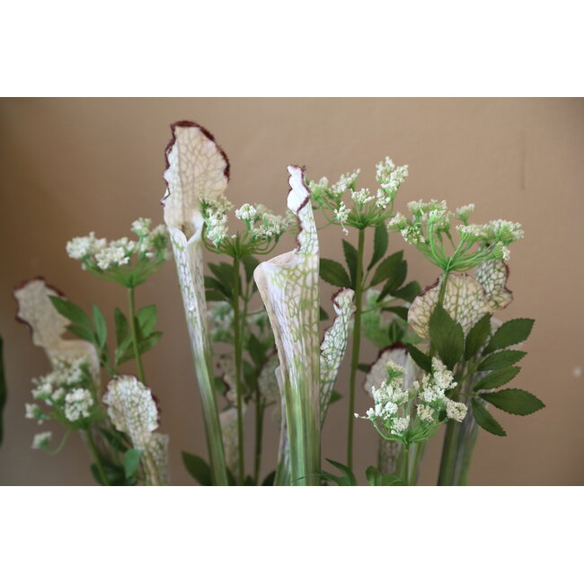 PTMD Groene planten in glazen vaas