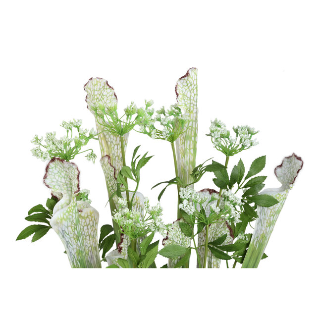 PTMD Groene planten in glazen vaas