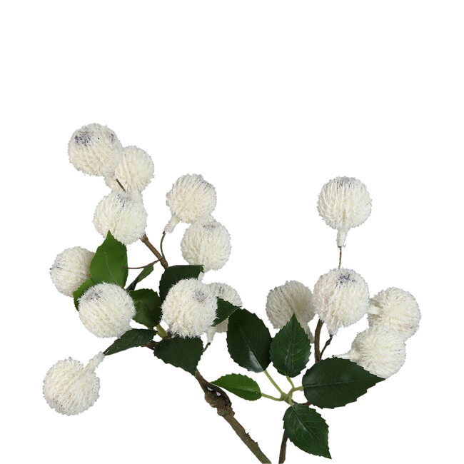 PTMD Kunsttak Twig Wit Xylia fruit