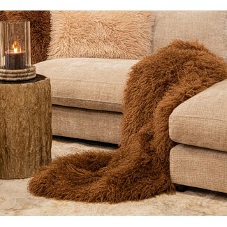 PTMD Plaid Rexx Donkerbruin S