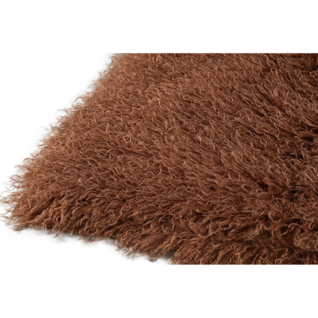 PTMD Plaid Rexx Donkerbruin S