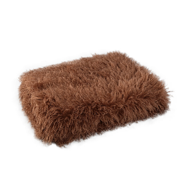 PTMD Plaid Rexx Donkerbruin S