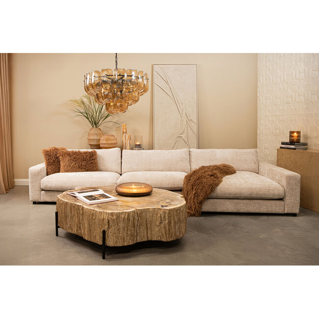 PTMD Plaid Rexx Donkerbruin S