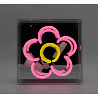 Locomocean Daisy Mini Glas Neon licht