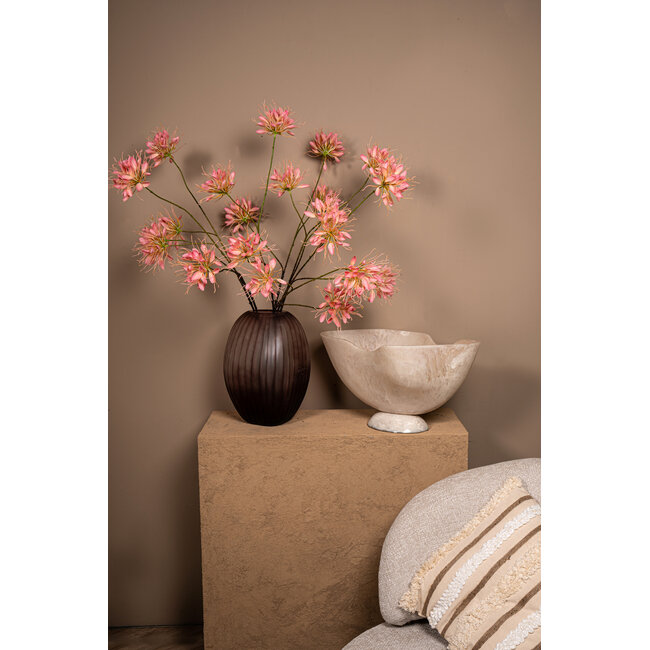 PTMD Schaal Cayley Wit organisch klein