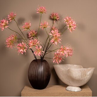 PTMD Schaal Cayley Wit organisch klein