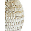 Light en Living Vaas deco  SARRIA Ø26 x 27 bamboo + schelp creme