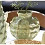 Light en Living Vaas deco Ø21x20 cm LOSETO keramiek groen