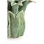 Light en Living Vaas deco Ø26,5x28 cm SAMPAGA Keramiek blauw - groen
