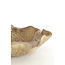 Light en Living Schaal 34x31x11 cm BANDA keramiek bruin