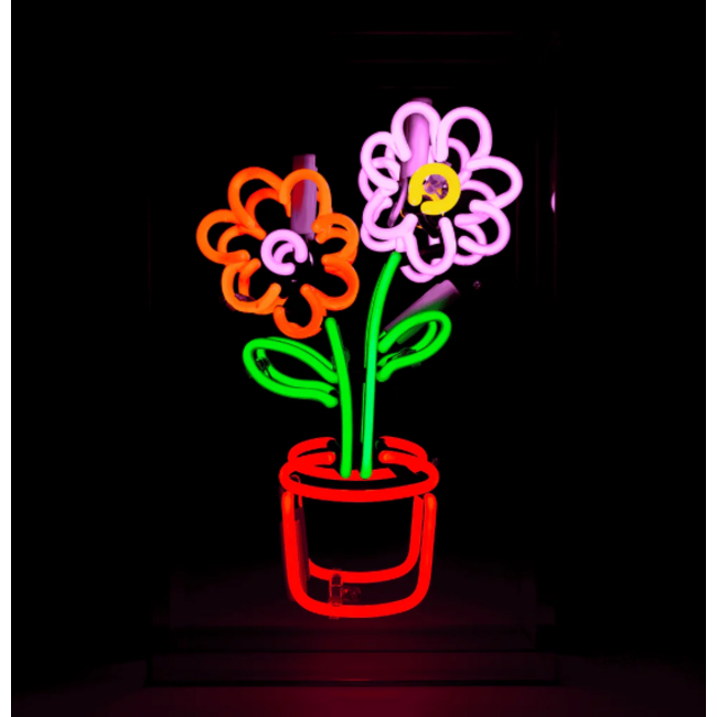 Locomocean Flowers In Pot Neon Box