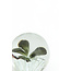 Light en Living Ornament Ø8x8 cm BUTTERFLY glas zwart