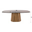 WoonStijl Eettafel Tinto Centro deens ovaal 215 cm  Brons glas