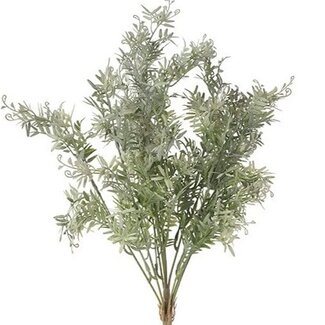 Countryfield Plant steker Pistacia L grijsgroen-15x15x53CM