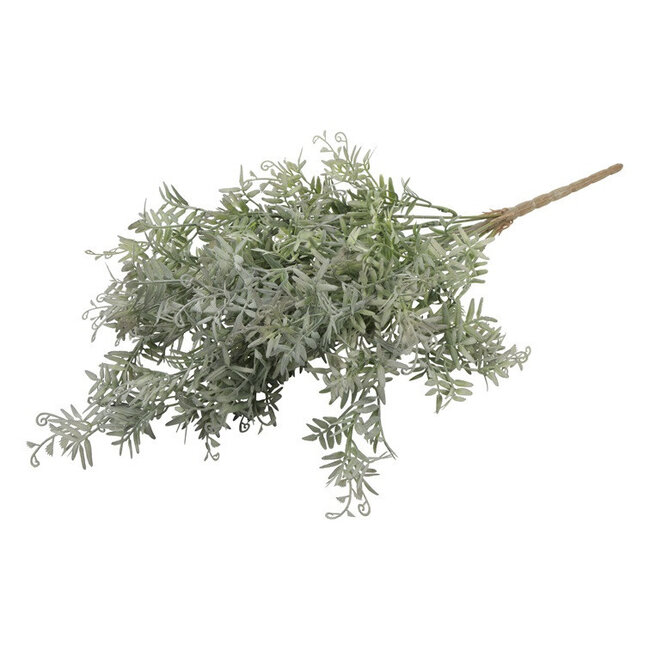 Countryfield Plant steker Pistacia L grijsgroen-15x15x53CM