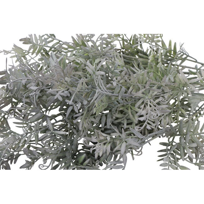 Countryfield Plant steker Pistacia L grijsgroen-15x15x53CM