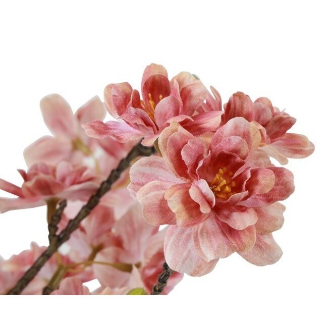 Countryfield Bloem in pot Prunus Kanzan M roze - 14 x 14 x 80 cm