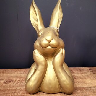 Countryfield Haas Zen M goud