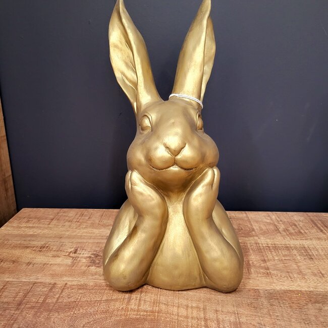 Countryfield Haas Zen M goud