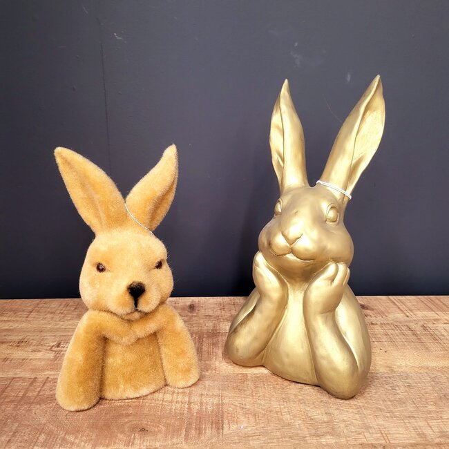 Countryfield Haas Zen M goud