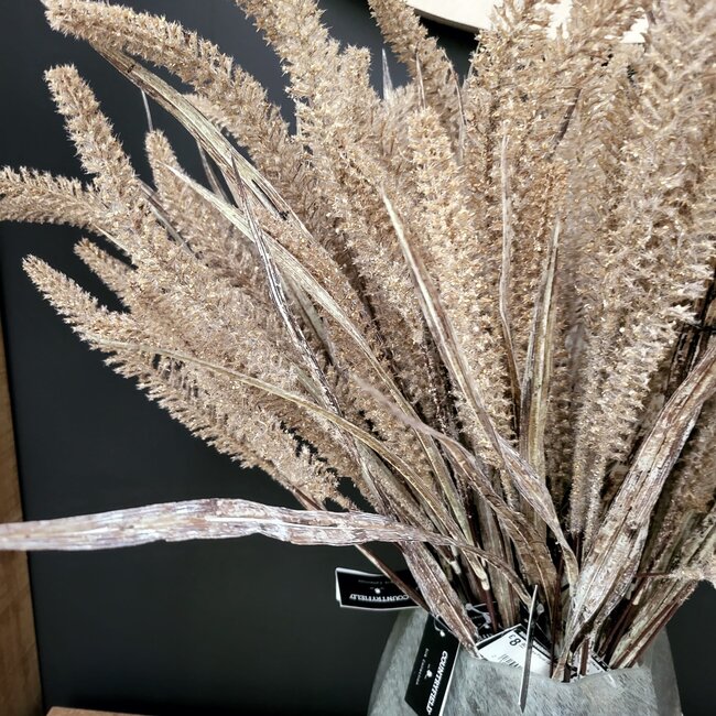 Countryfield Gras/Pluim Certaria bruin