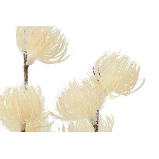 Countryfield Bloem in pot Clematis alpina XL crème 18 x 18 x 82 cm