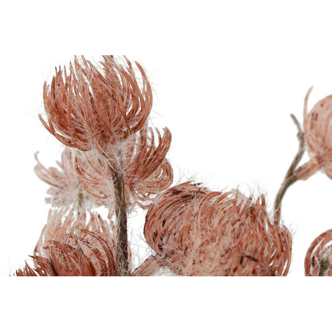 Countryfield Bloem in pot Clematis alpina M oud roze 14 x 14 x 57 cm