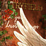 Countryfield Kerstverlichting LED Ornament Wings goud 149 x 38 x 165 cm