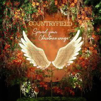 Countryfield Kerstverlichting LED Ornament Wings goud 149 x 38 x 165 cm