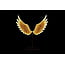 Countryfield Kerstverlichting LED Ornament Wings goud 149 x 38 x 165 cm