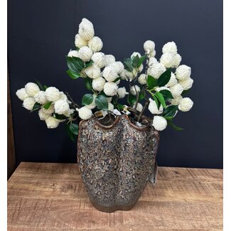 ISAA Vaas Bairrada 22x30 cm - bruin