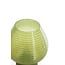 Light en Living Tafellamp LED Ø18x23 cm ALENNA glas groen