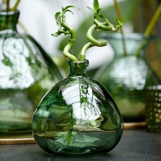 Light en Living Vaas Selores glas - Groen, bruin of bruin - zand