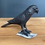 Light en Living Ornament 19x5x11 cm BIRD zwart