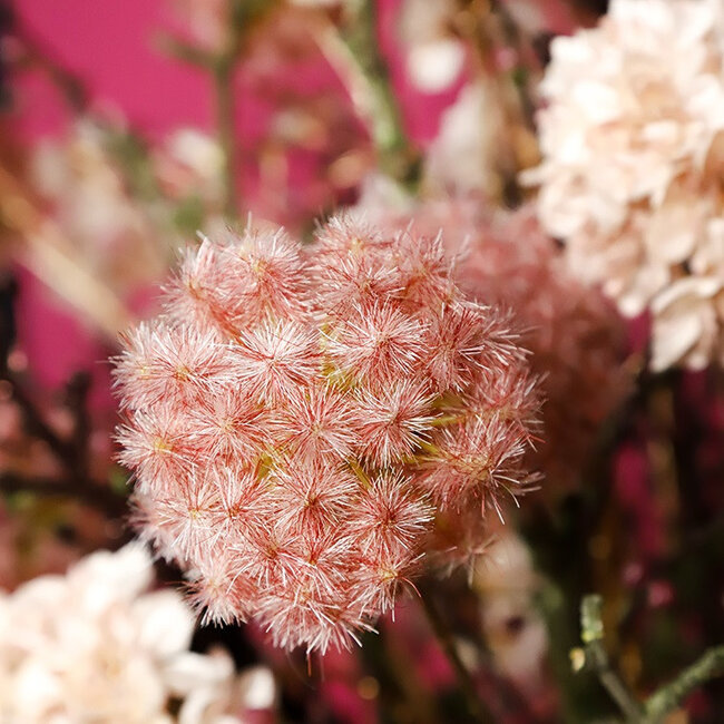 Countryfield Kunstbloem Taraxacum 3x roze - 8 x 20 x 80 cm