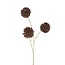 Countryfield Kunstbloem Taraxacum 3x bruin - 8 x 20 x 80 cm