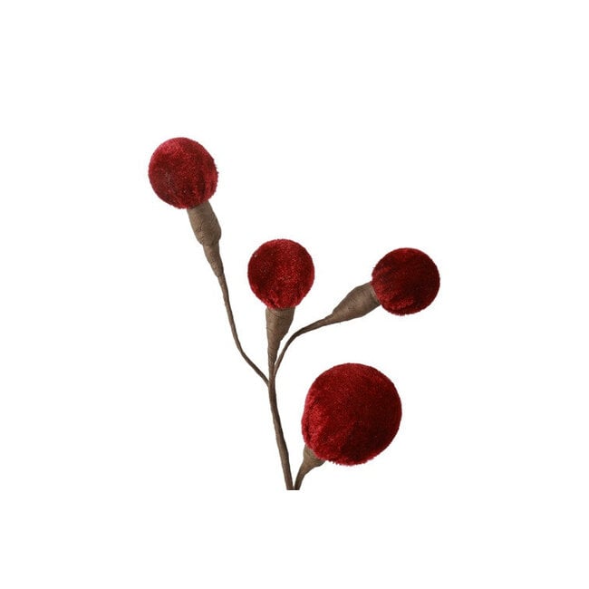 Countryfield Tak Miro L rood - 4 x 12 x 60 cm