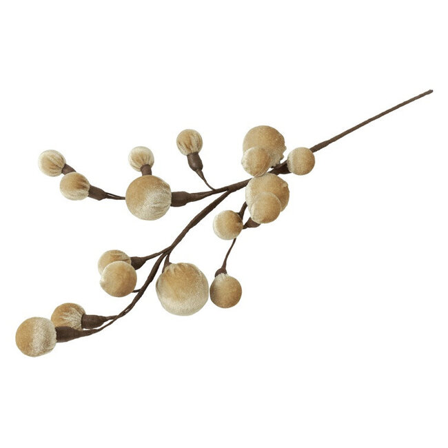 Countryfield Tak Miro L beige - 4 x 12 x 60 cm