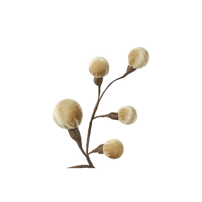 Countryfield Tak Miro L beige - 4 x 12 x 60 cm