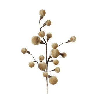 Countryfield Tak Miro L beige - 4 x 12 x 60 cm