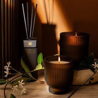 PTMD Geurstokjes New Elements woody bouquet