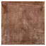 Richmond Interiors  Vloerkleed Velay Coffee 200x300