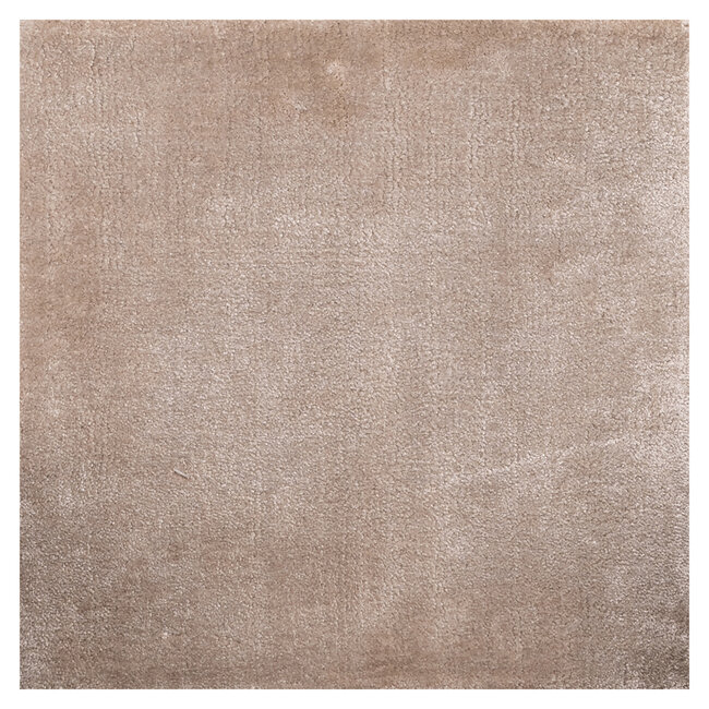Richmond Interiors  Vloerkleed Millav beige 220x320