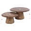 WoonStijl Salontafel Rona set van 2 acacia bruin