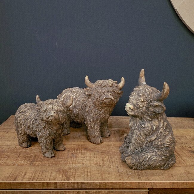 Countryfield Ornament Schotse hooglander Yuki L bruin - 22 x 10,5 x 19,5 cm