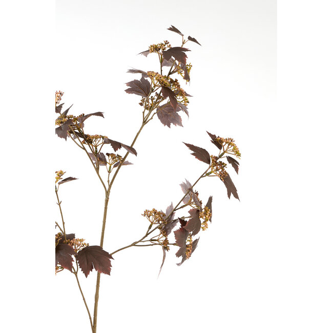Light & Living Kunstbloem 20x10x110 cm MAPLE bordeaux-donker bruin