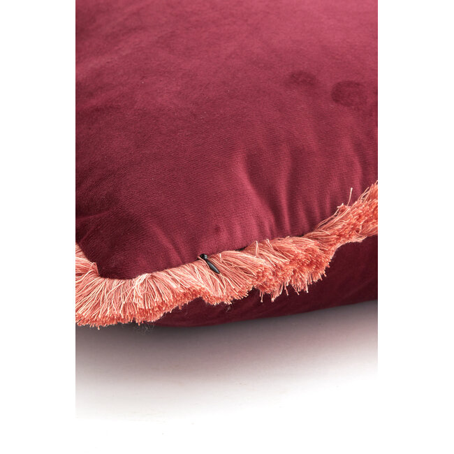 Light & Living Kussen 60x30 cm LIENA velvet bordeaux-licht roze